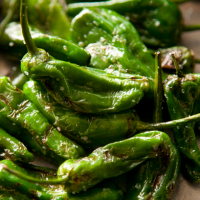 Postcards Found Between Lila Rimalovski and Aditya Srivatsan