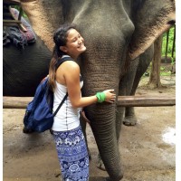 Student Service Spotlights