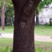 Fuel to the Fire: Black Man Killed By Officer, Debate Ensues