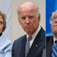 A Look At the Democratic Primaries