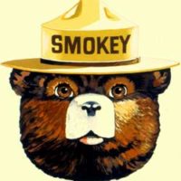 Only You Can Prevent Wildfires