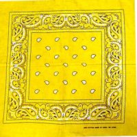 Bring Back the Bandana!