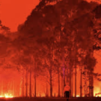 Climate Change and its Effect on Australian Wildfires