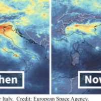COVID-19’s Relationship with the Environment