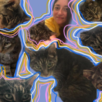 Bertie: NA’s Newest Member