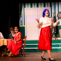 The Curious Savage: The Return of Live Performances at NA