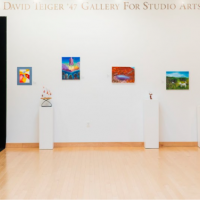 Working Outside the Box: NA’s IB and Advanced Visual Art Exhibitions